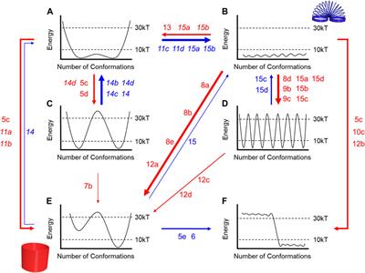 Rigidity and Flexibility in Rotaxanes and Their Relatives; On Being Stubborn and Easy-Going